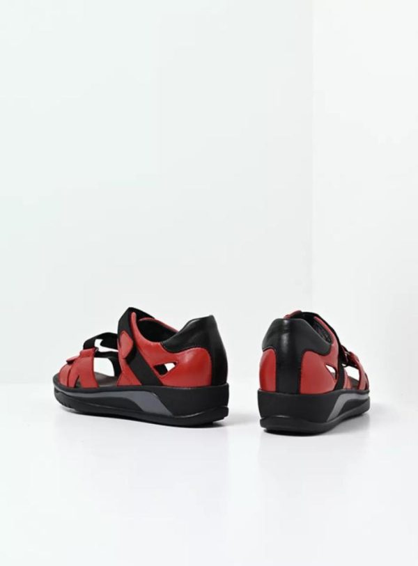 Happynurs.shop0ae8863845 3