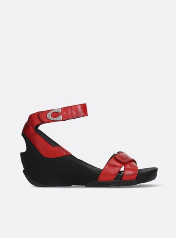 Happynurs.shop19a5cd8362 1