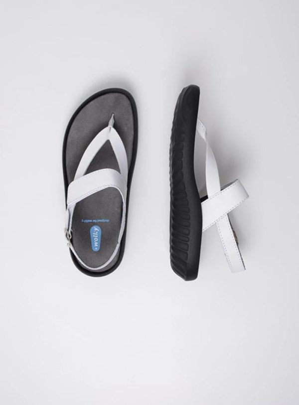 Happynurs.shop31fe9ddef1 4