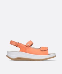 Happynurs.shop574179d87c 1