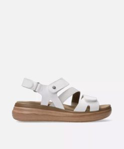 Happynurs.shop5becdcb87c 1