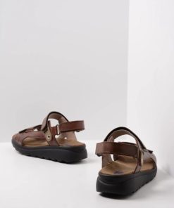 Happynurs.shop62f8632bbd 3