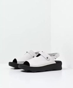 Happynurs.shop68114db774 2