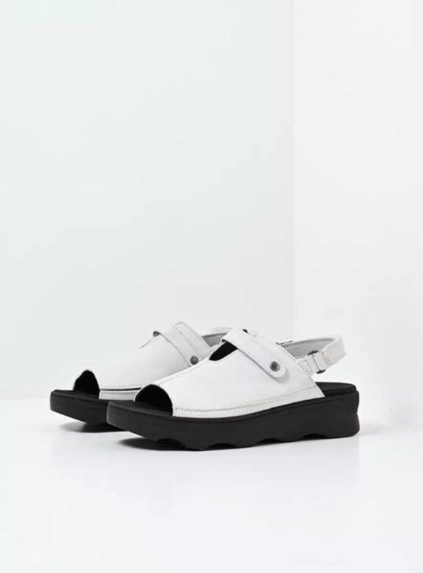 Happynurs.shop68114db774 2