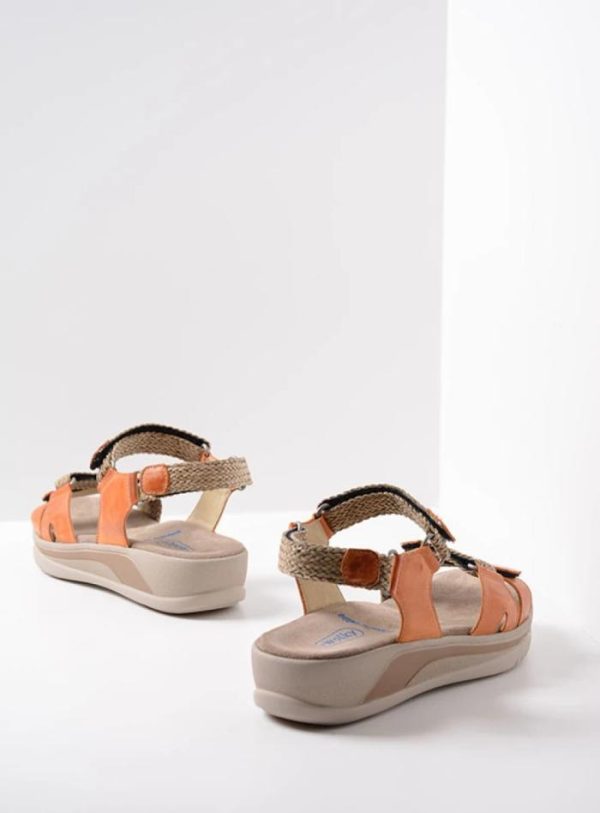 Happynurs.shop8100033300 3