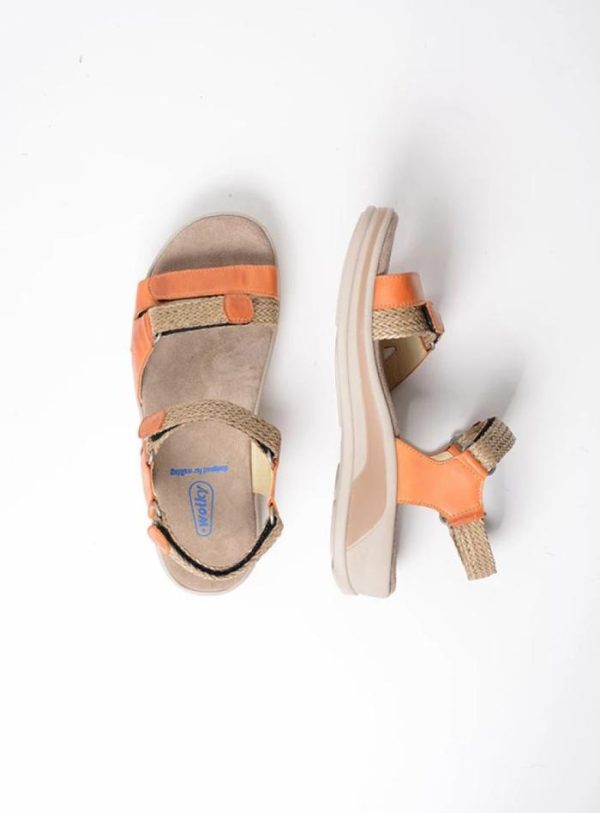 Happynurs.shop8100033300 4