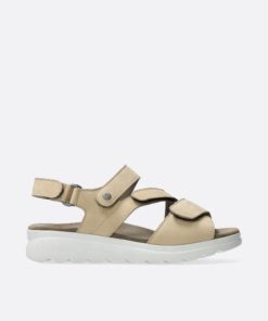 Happynurs.shop8fc2f577c5 1