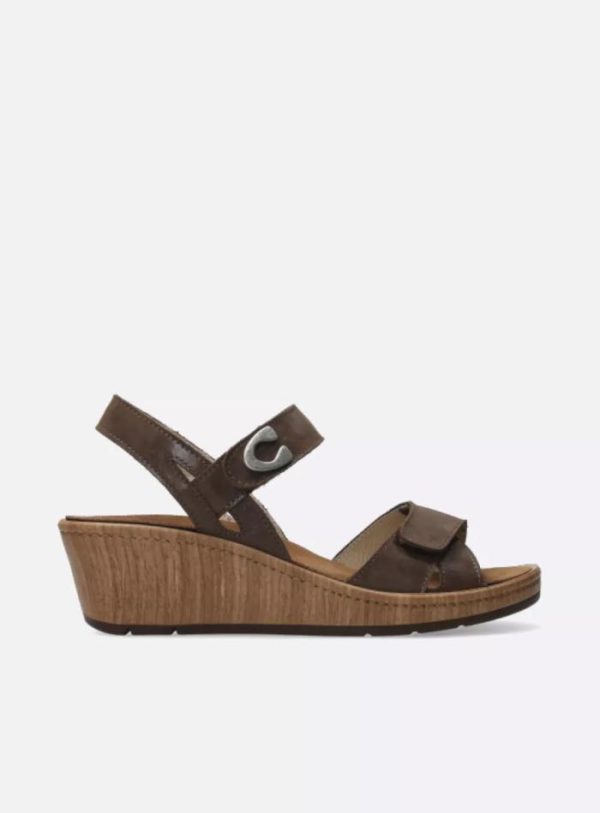 Happynurs.shop9322ddf9b1 1