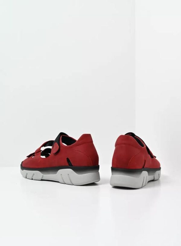 Happynurs.shopfbbfb20541 1